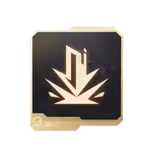 概率坍缩