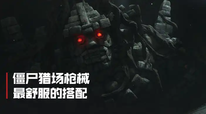 僵尸猎场三套枪舒服搭配封面